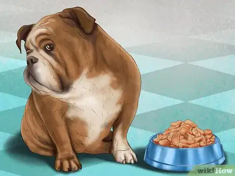 Image titled Ensure the Health of a Lost Pet After Finding It Step 6