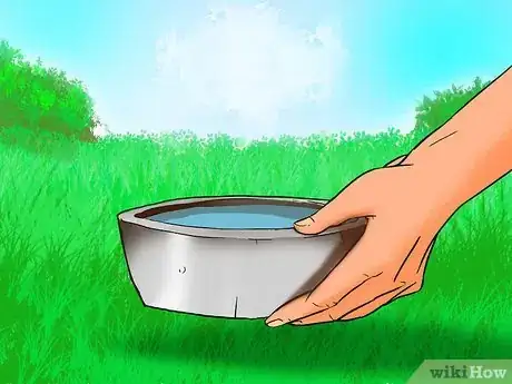 Image titled Take Care of Your Aging Cat Step 7