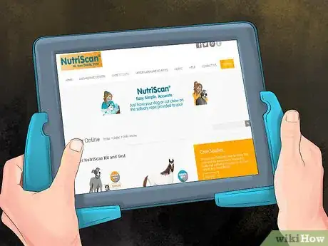 Image titled Help an Itching Dog Step 8