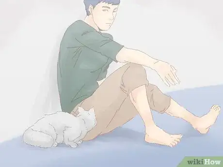 Image titled Keep a Cat from Running Away when It Is Moved Step 10