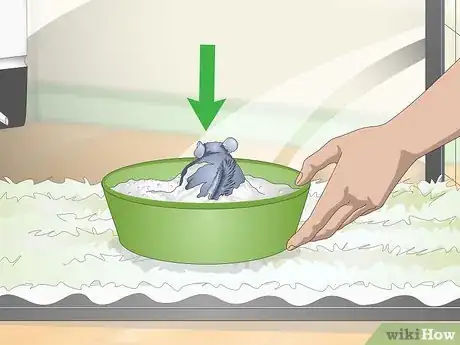 Image titled Help Your Chinchilla Adjust to its New Home Step 8