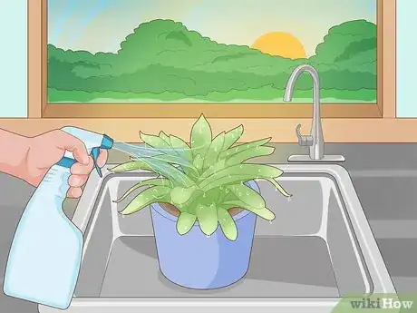 Image titled Create Humidity for Indoor Plants Step 5