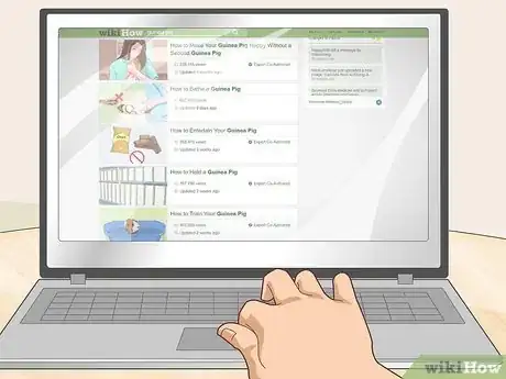 Image titled Run a Guinea Pig Rescue Step 1