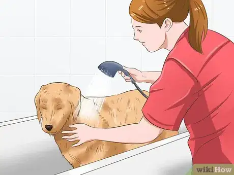 Image titled Protect Your Pets from Summertime Pests Step 24