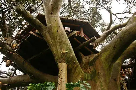 Image titled 99762615 1