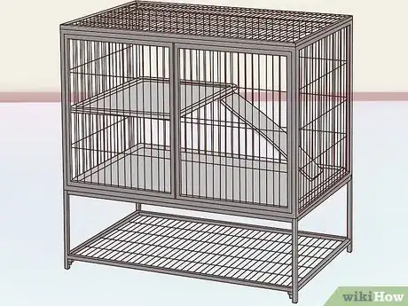 Image titled Keep Multiple Chinchillas Step 9