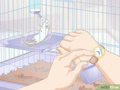 Image titled Know if Your Gerbil Is Having a Seizure Step 3
