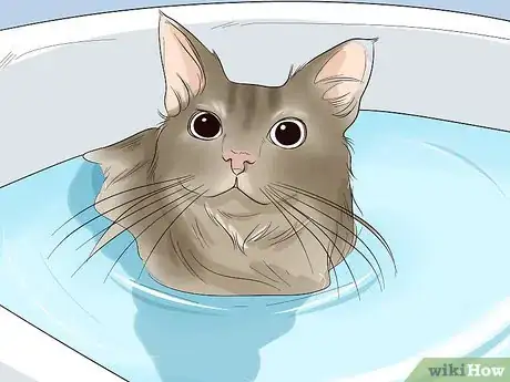 Image titled Choose a Hypoallergenic Cat Breed Step 8