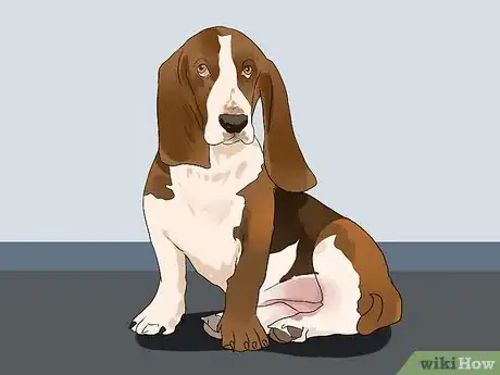 Image titled Choose a Laid‐Back Dog Step 8