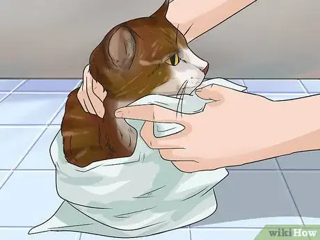 Image titled Help Your Cat Enjoy Having a Bath Step 15