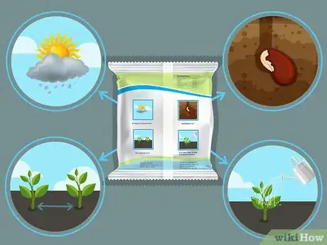 Image titled Plant Your First Garden Step 10