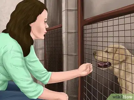 Image titled Determine Where to Get Your Dog Step 7