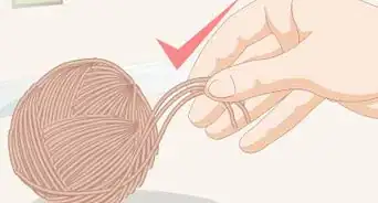 Choose Toys for a Guinea Pig