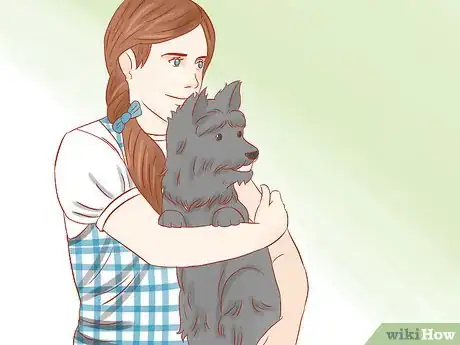 Image titled Dress Up As Dorothy in the Wizard of Oz Step 8