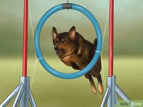 Image titled Know if You Are Ready for a Dog Step 12