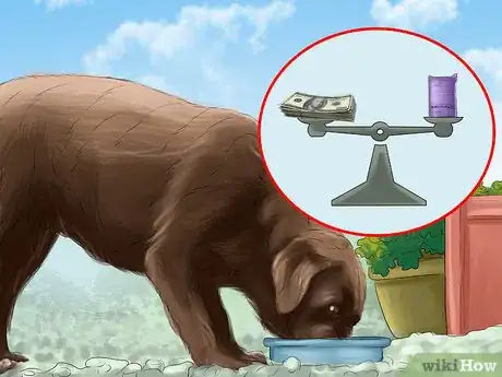 Image titled Buy a Chocolate Labrador Step 5