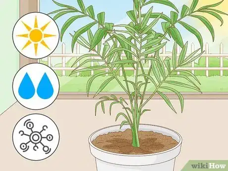 Image titled Get Rid of Thrips Indoors Step 14