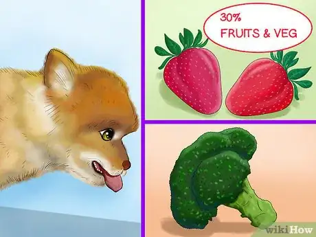 Image titled Choose All Natural Pet Food for Pomeranians Step 2