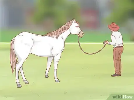 Image titled Get a Horse Under Control Step 12