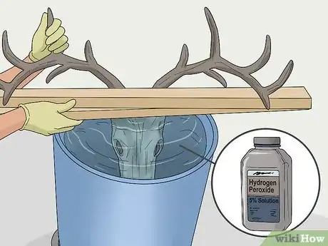 Image titled Do a European Mount Step 12