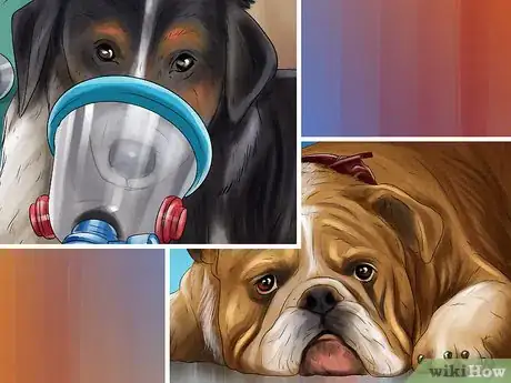 Image titled Get a Dog to Vomit Step 13