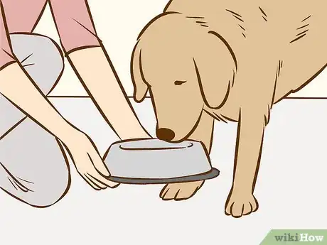 Image titled Use a Pet to Help You Cope with Chronic Pain Step 1