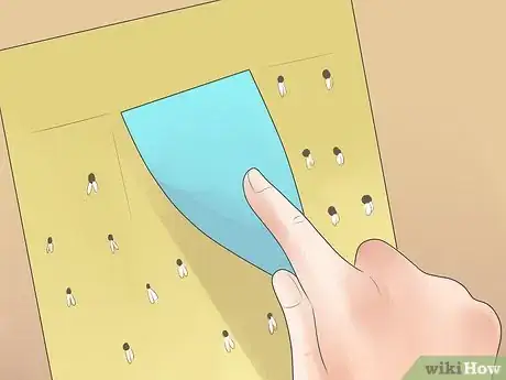 Image titled Control Whiteflies Step 10