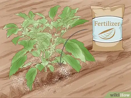 Image titled Grow Vegetables in New England Step 19