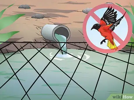 Image titled Set Up a Freshwater Crayfish Farm Step 12