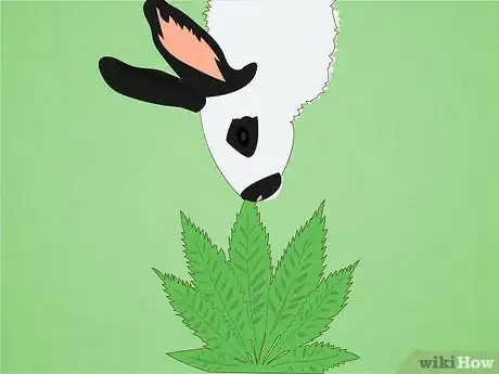 Image titled Care for Himalayan Rabbits Step 9