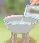 Make a Bird Bath
