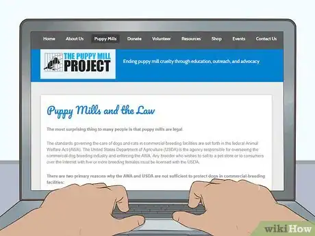 Image titled Boycott Puppy Mills Step 2