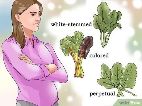 Image titled Grow Chard Step 1