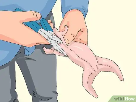 Image titled Skin a Squirrel Step 16