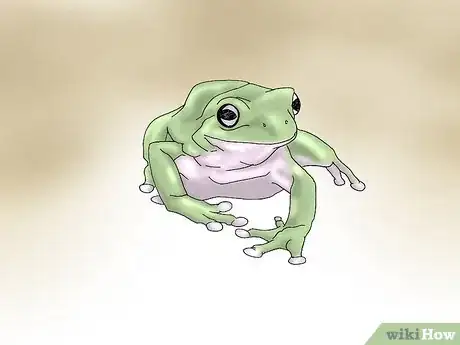 Image titled Care for Your White's Tree Frogs Step 7