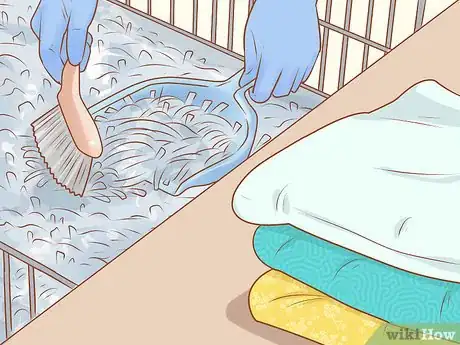 Image titled Keep a Guinea Pig on a Budget Step 4