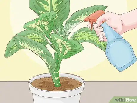 Image titled Get Rid of Thrips Indoors Step 12