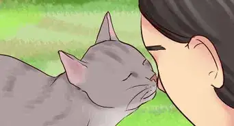 Get Your Cat to Know and Love You
