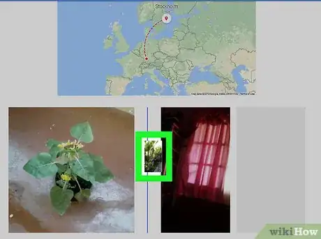 Image titled Change the Order of Google Photos on PC or Mac Step 7