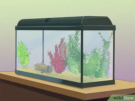 Image titled Start a Saltwater Aquarium Step 4