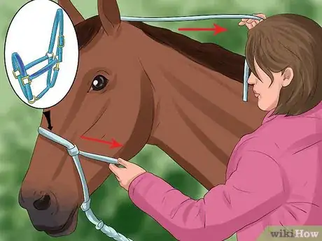 Image titled Put a Lead Rope on a Horse Step 8
