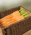 Grow Baby Carrots