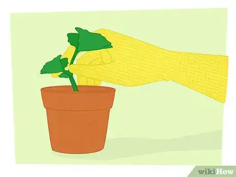 Image titled Propagate Your Plants Step 13