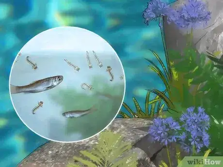 Image titled Control Mosquitoes Step 5