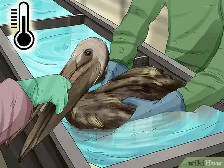 Image titled Clean Oil off Birds Step 8