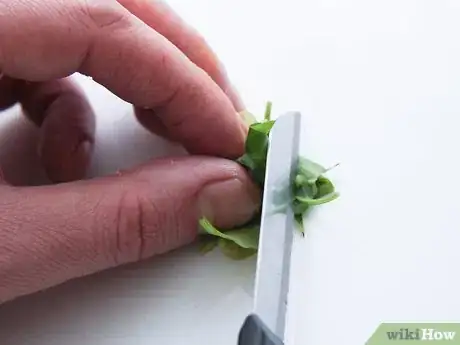 Image titled Infuse Herbs Step 23