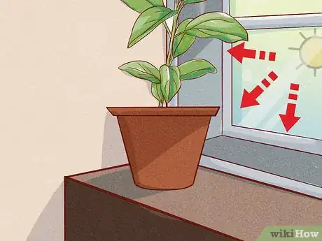 Image titled Make Cinnamon Step 2