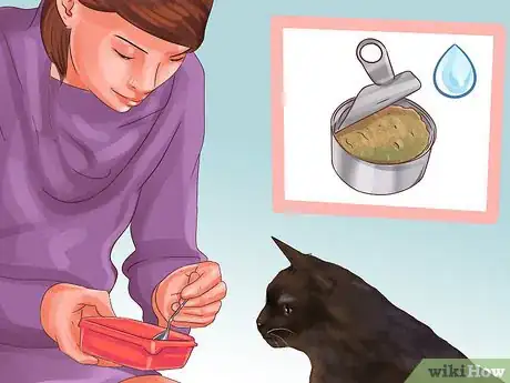 Image titled Treat Feline Intestinal Lymphoma Step 11
