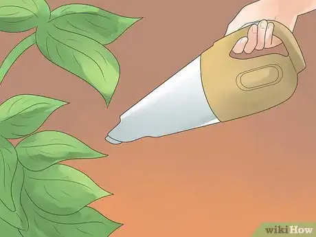 Image titled Control Whiteflies Step 13