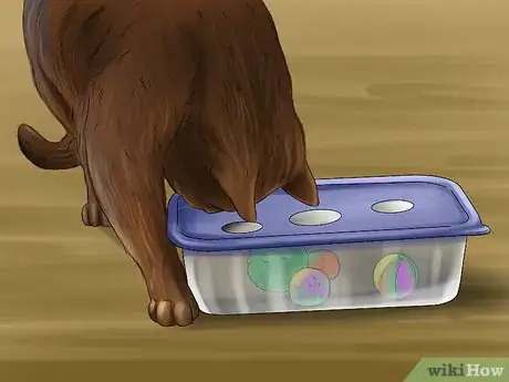 Image titled Feed a Cat Using Food Puzzles Step 5